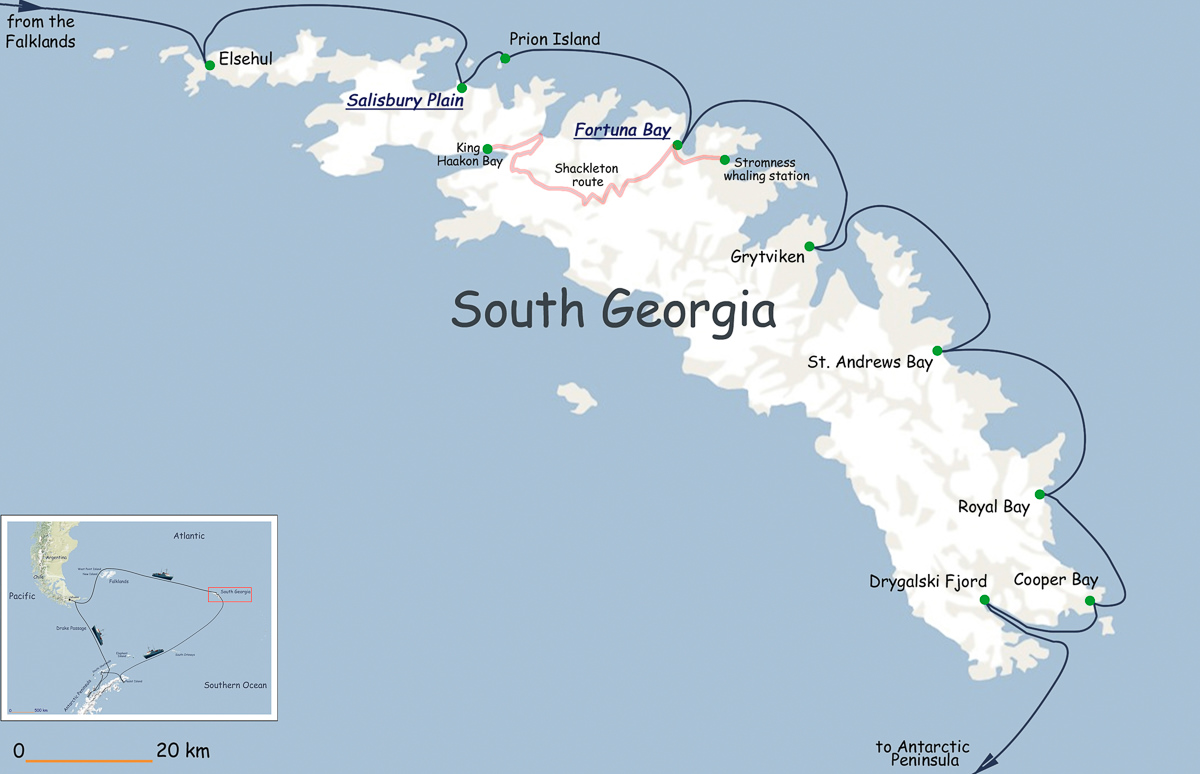 Antarktis 2008, zweite Etappe: Süd Georgien